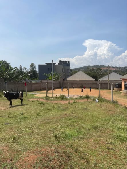 A picture of Plots for sale in Namulanda Entebbe Rd 50Ft by 100Ft