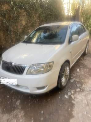 used toyota corolla