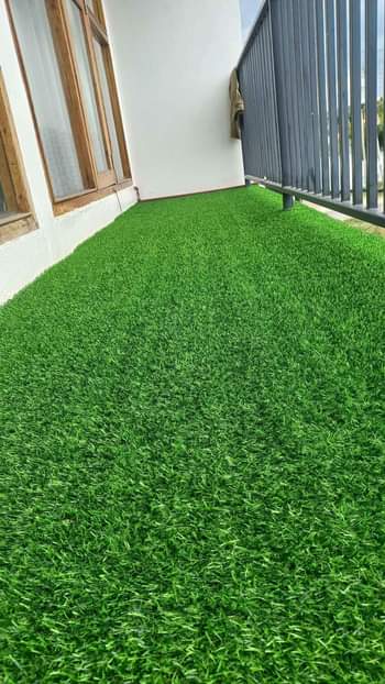 carpets