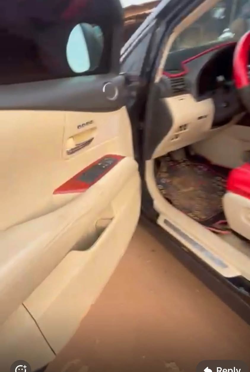 A picture of Awuffawuff 2010 RX350 Complete buy and drive Owner needs money