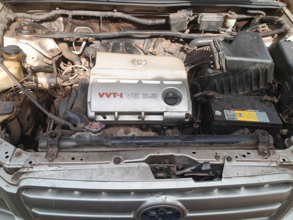 A picture of HIGHLANDER FOR SALE