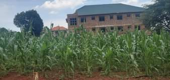 A picture of 100 100ft 25decimals for sale in Seguku Katale With ready
