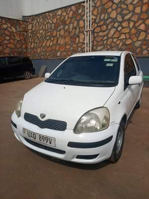 A picture of Vitz