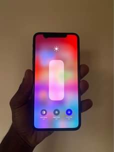 A picture of Xs Max