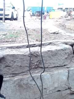 Kamande K.