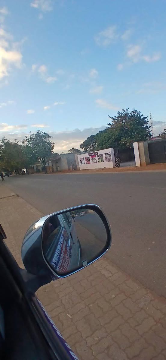 houses for rent