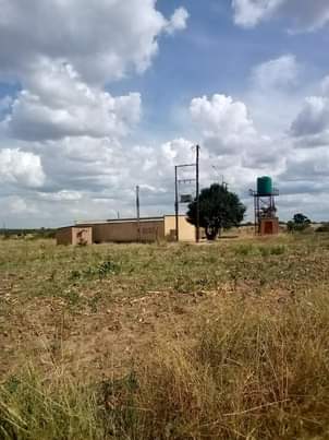houses livingstone