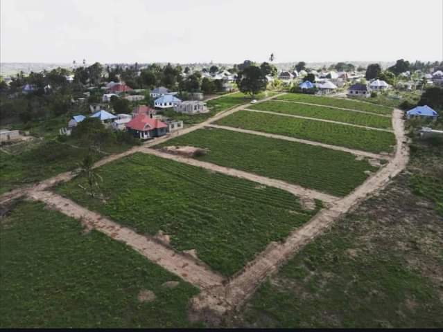 A picture of Eneo