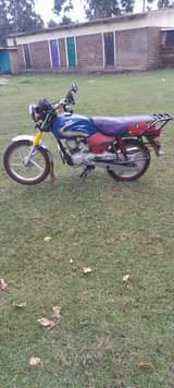 tvs hlx