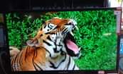 A picture of Goodvision