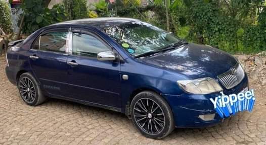 used toyota corolla