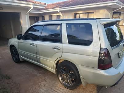 A picture of SUBARU FORESTER