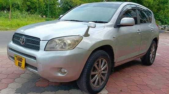 A picture of Miss Tz Rav for sale DKE