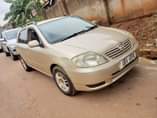 A picture of TOYOTA ALLEX