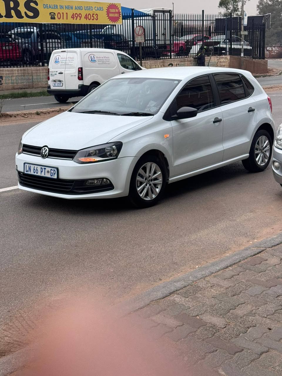 polo vivo