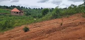 A picture of  50 100ft 6.8m URGENT MONEY IS NEEDED urgently tomorrow