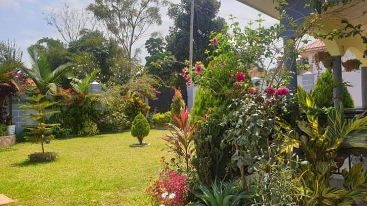A picture of Rachels outdoor flower designs