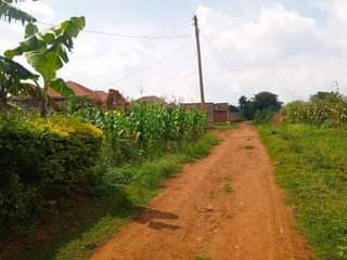 A picture of ewly bullt house for sale at mpererwe jokolera at 55m