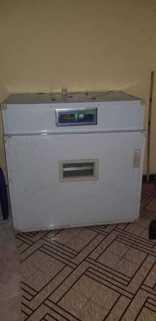 A picture of Incubator machine Inachukua mayai 528 Hatching 95 Inageuza yenyewe automatic
