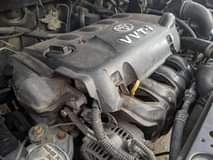 A picture of Vitz