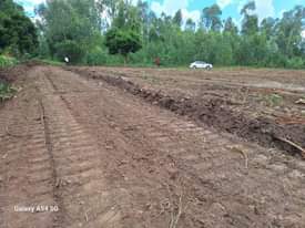 A picture of Plots on fair prices