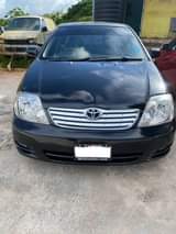 Sales M.