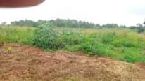 A picture of New site located at matugga kitanda on bombo rd good