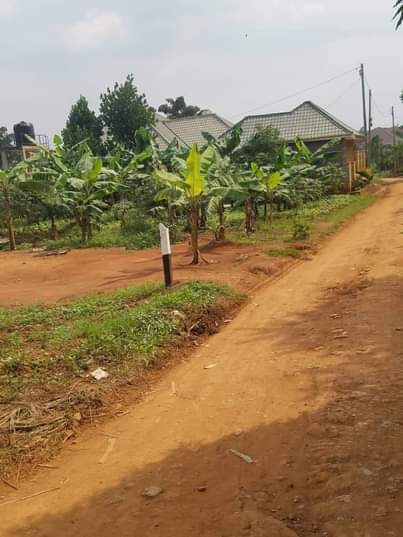 A picture of Land