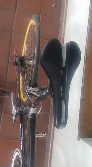 shimano