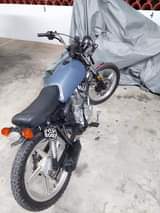 Angad S.