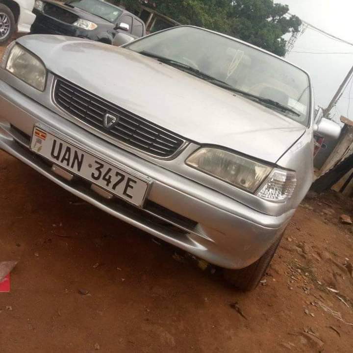 A picture of Toyota kikumi kumi