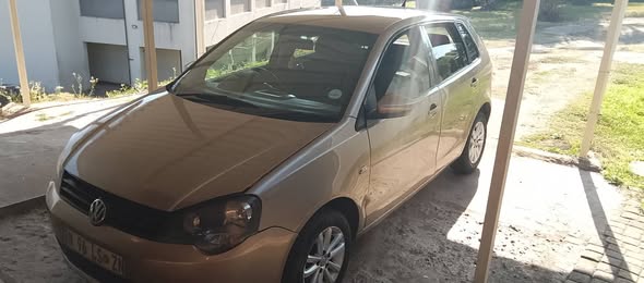 polo vivo