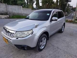 A picture of Subaru forester