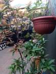 A picture of Residential house on sale 180m at munyonyo kabuuma having 3