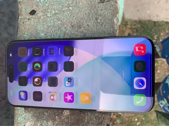 iphone pro max