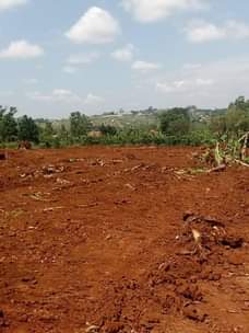 A picture of Plot 6m