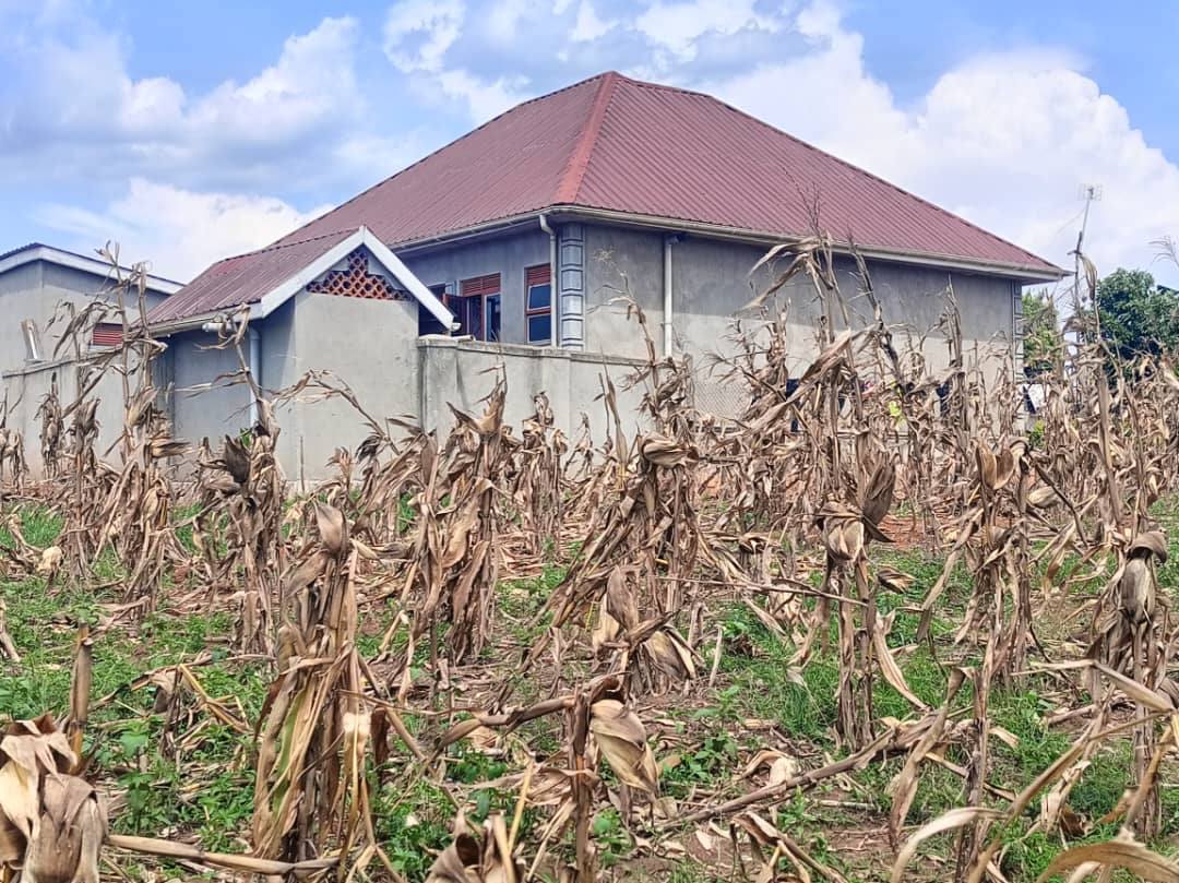houses matugga
