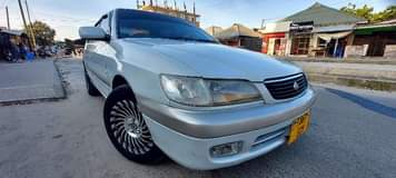 A picture of PREMIO OLD