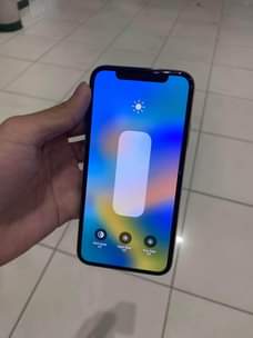 A picture of Iphone X 256Gb