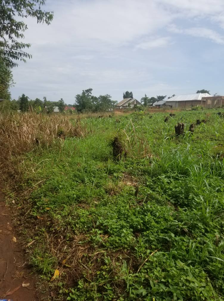 A picture of 1 acre title land