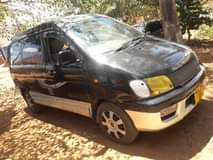 A picture of NOAH NOAH piga cm 0716530472