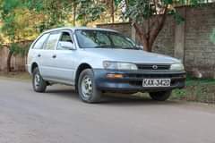 Mbuthia K.