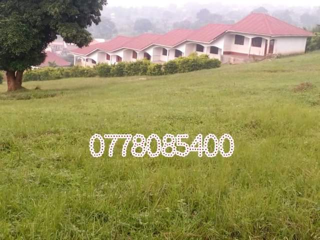 houses hoima