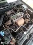 A picture of Honda Accord 2000 4plugs perfectly working