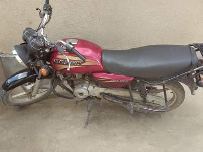 A picture of Pkpk boxer