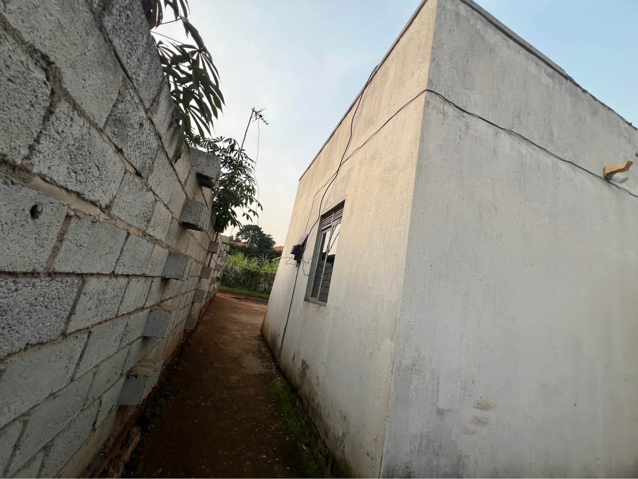 A picture of House