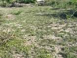 A picture of VIWANJA KIBUGUMO BEACH PLOT