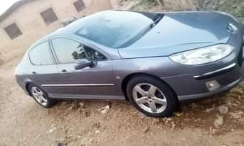 A picture of Peugeot 407 neat and clean
