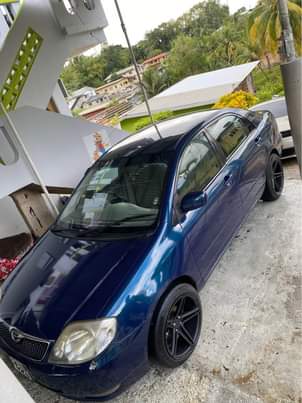 cars