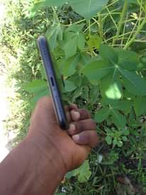 A picture of 255762353345